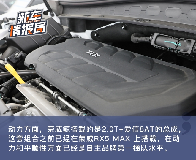 实拍荣威鲸 仿生学设计/预售16.68万元起