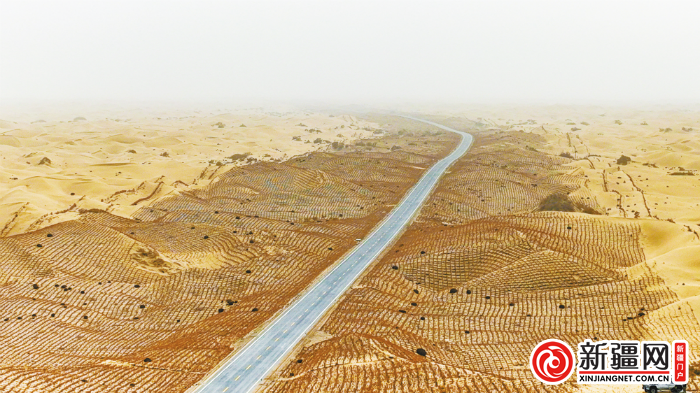 新疆第三条穿越塔克拉玛干沙漠公路今日通车 为尉犁至且末公路，全长334千米