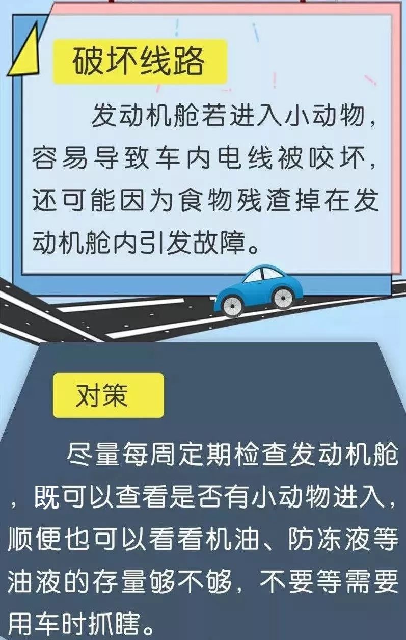 疫情防控期间，车辆长时间放置不开，如何养护？